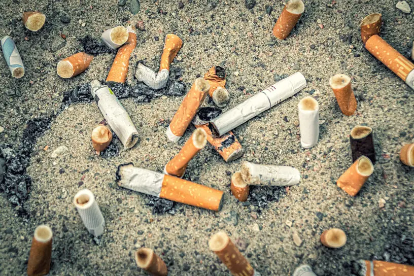 Cigarette butts